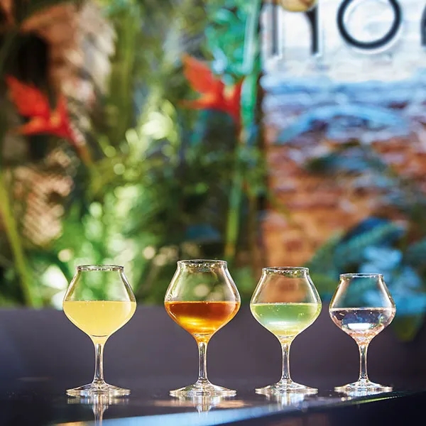 Chef-sommelier_5_addwine