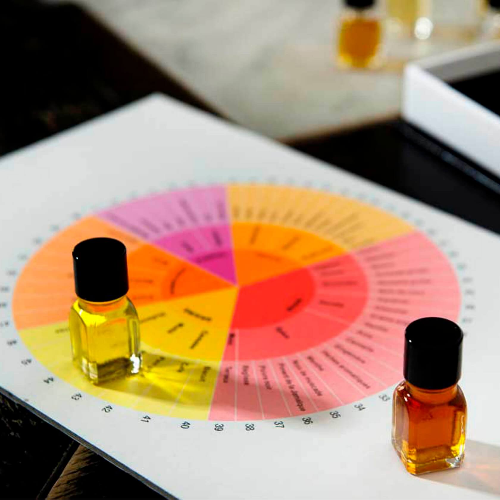 204914e451791e2750fd3c428608e9a5 (1)