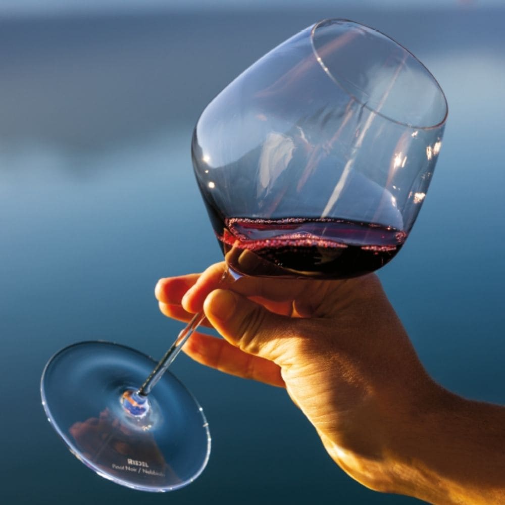 47y6t3plngm6sh5et6vvnrlrfn3irrmx