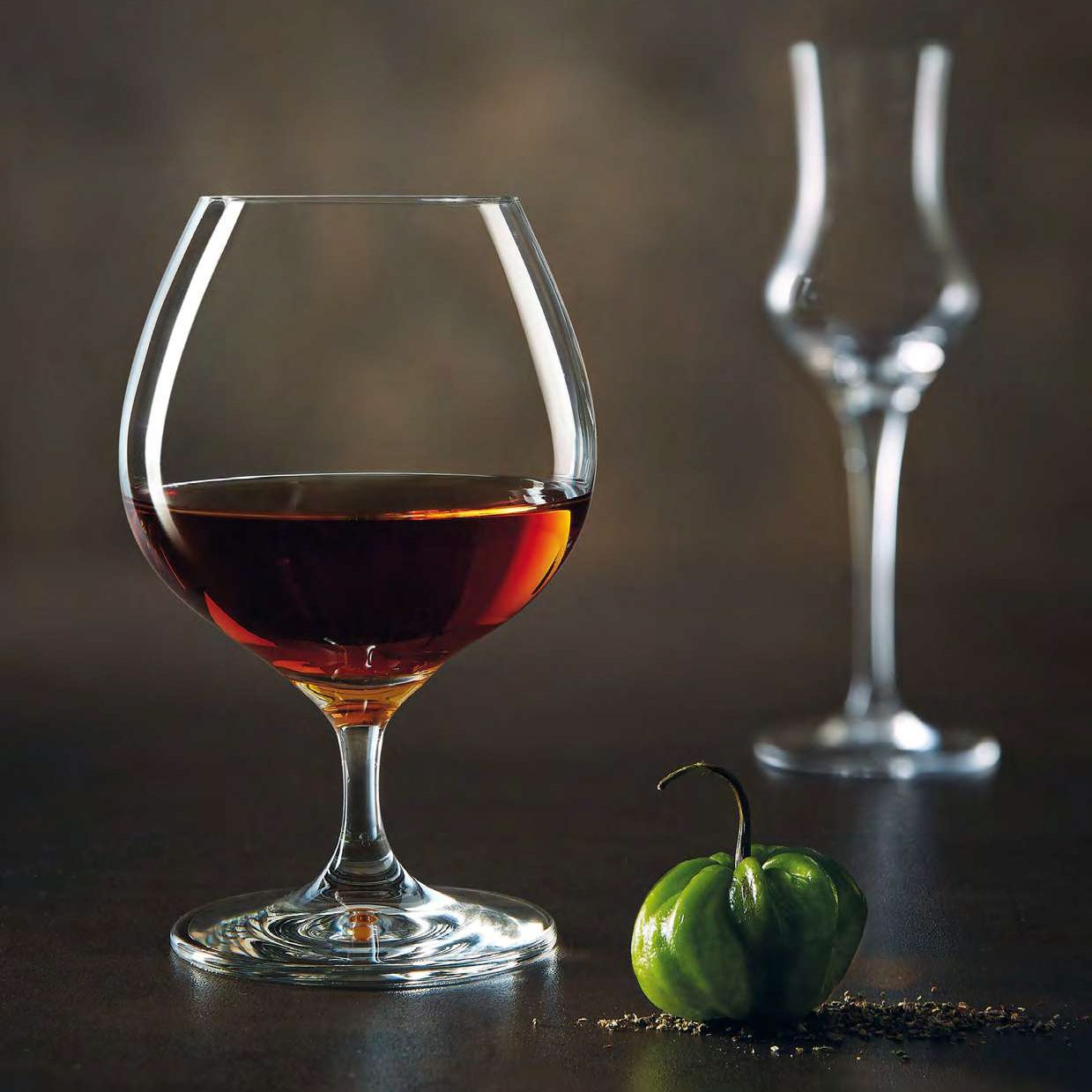 shop_property_file_77904_11219