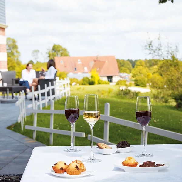 Chef-sommelier_5_addwine